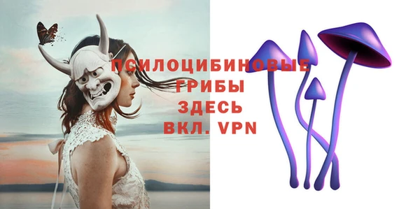 ECSTASY Заводоуковск