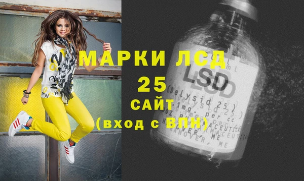 шишки Переславль-Залесский