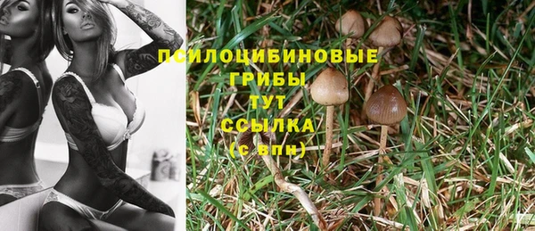 jwh Пересвет