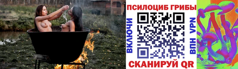 гидра   Слободской  Псилоцибиновые грибы Psilocybe 